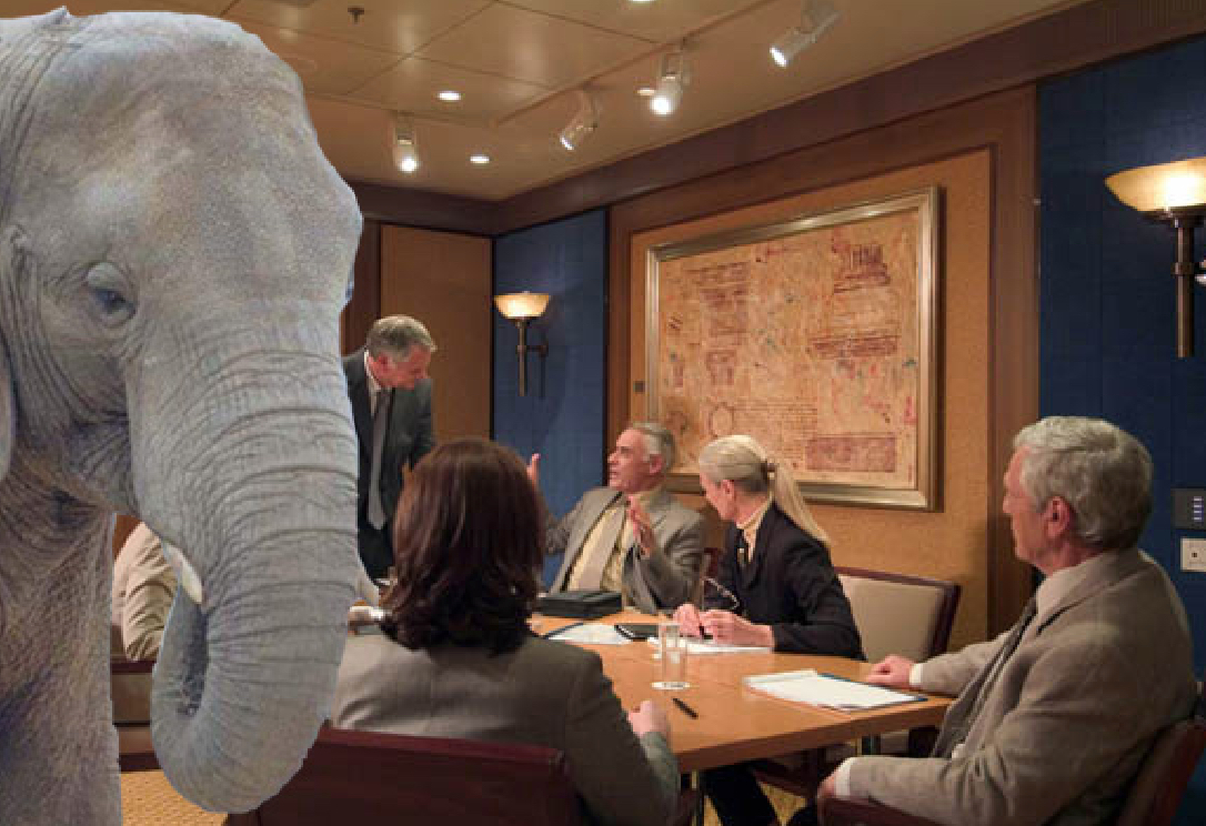Is There An Elephant in the Room?