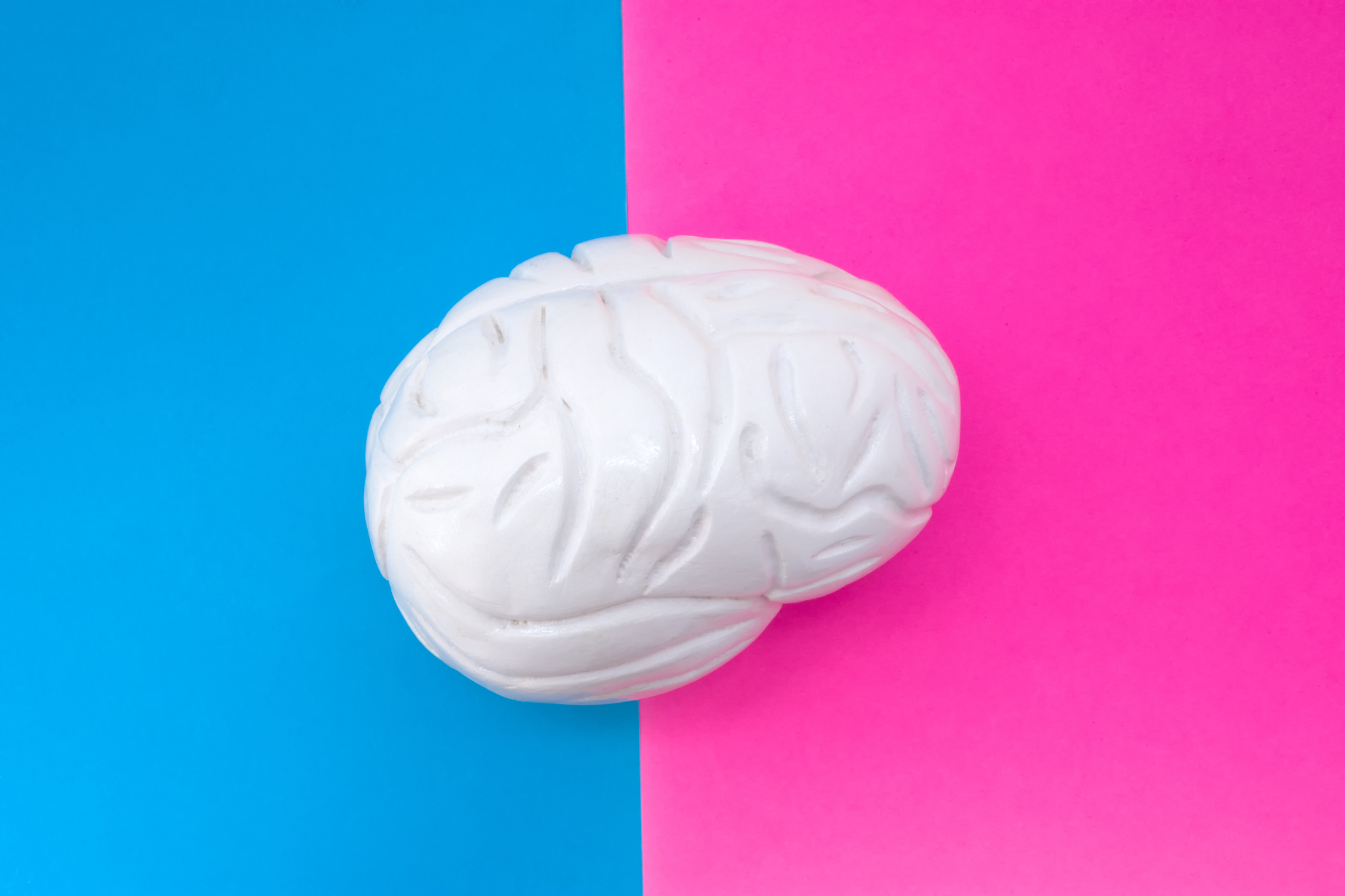 Anatomical shape of brain is located in middle of frame, divided by half by pink and blue background. Concept of gender features of brain or mental health in men and women, functions and structure