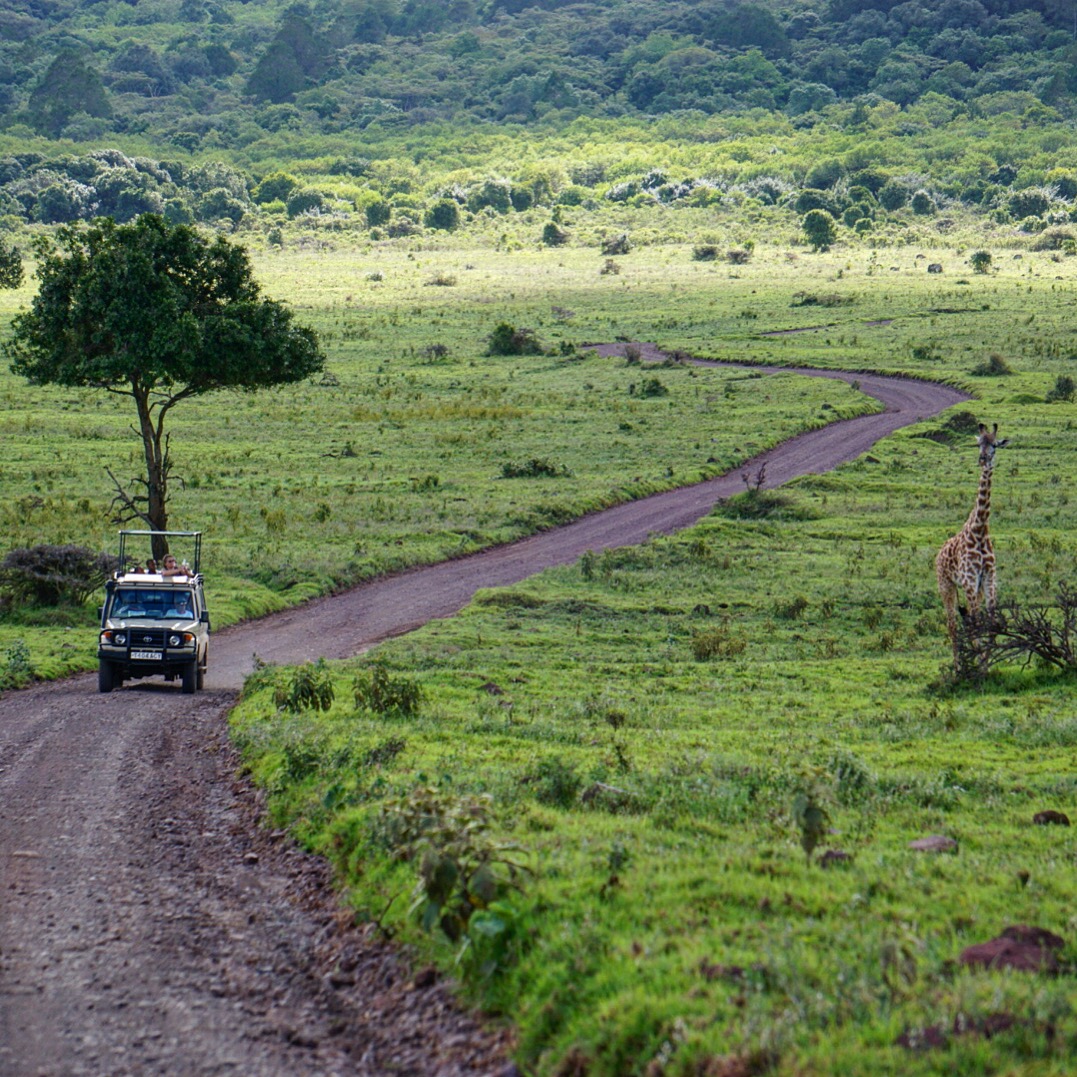 Safari in Arusha National Park