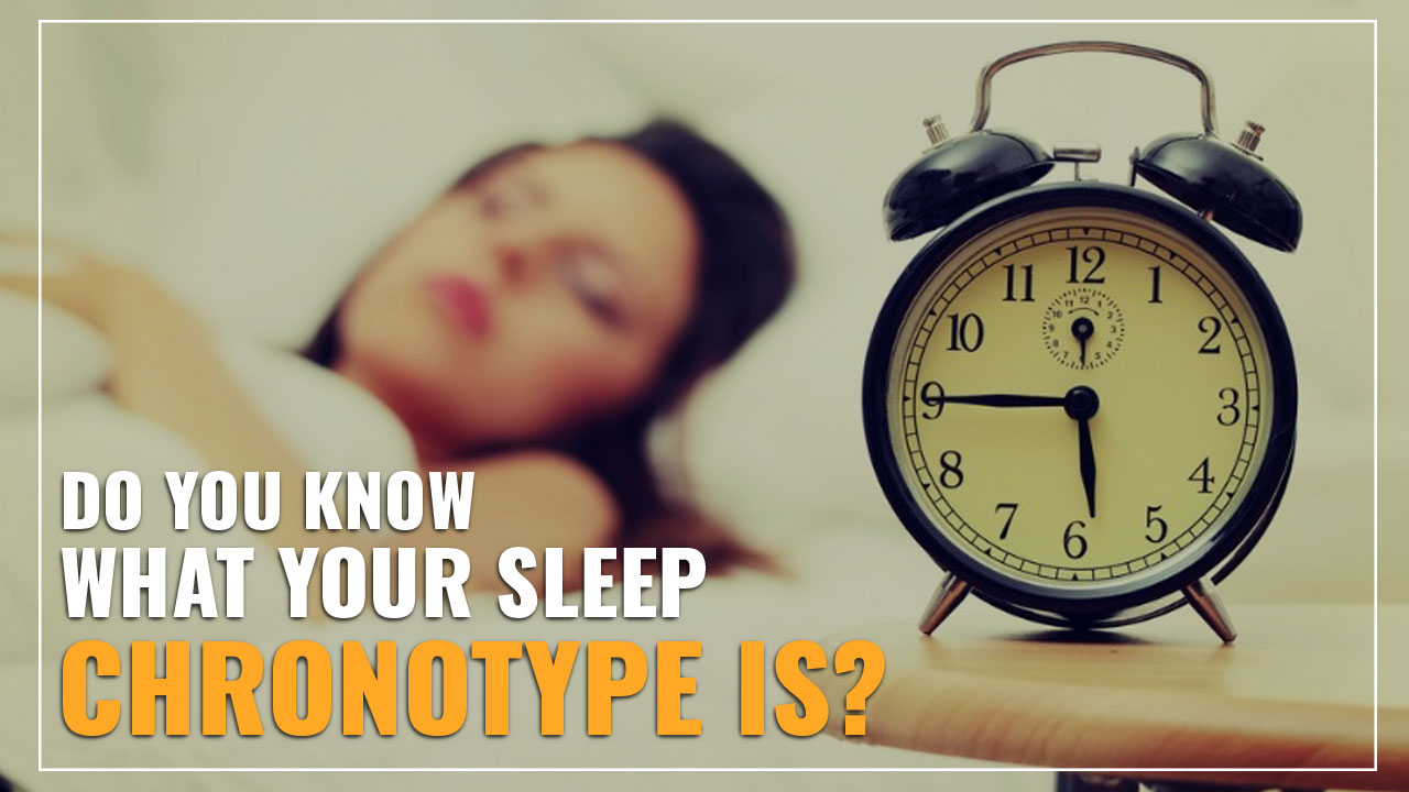 Do you know what your sleep chronotype is? lion bear dolphin wolf