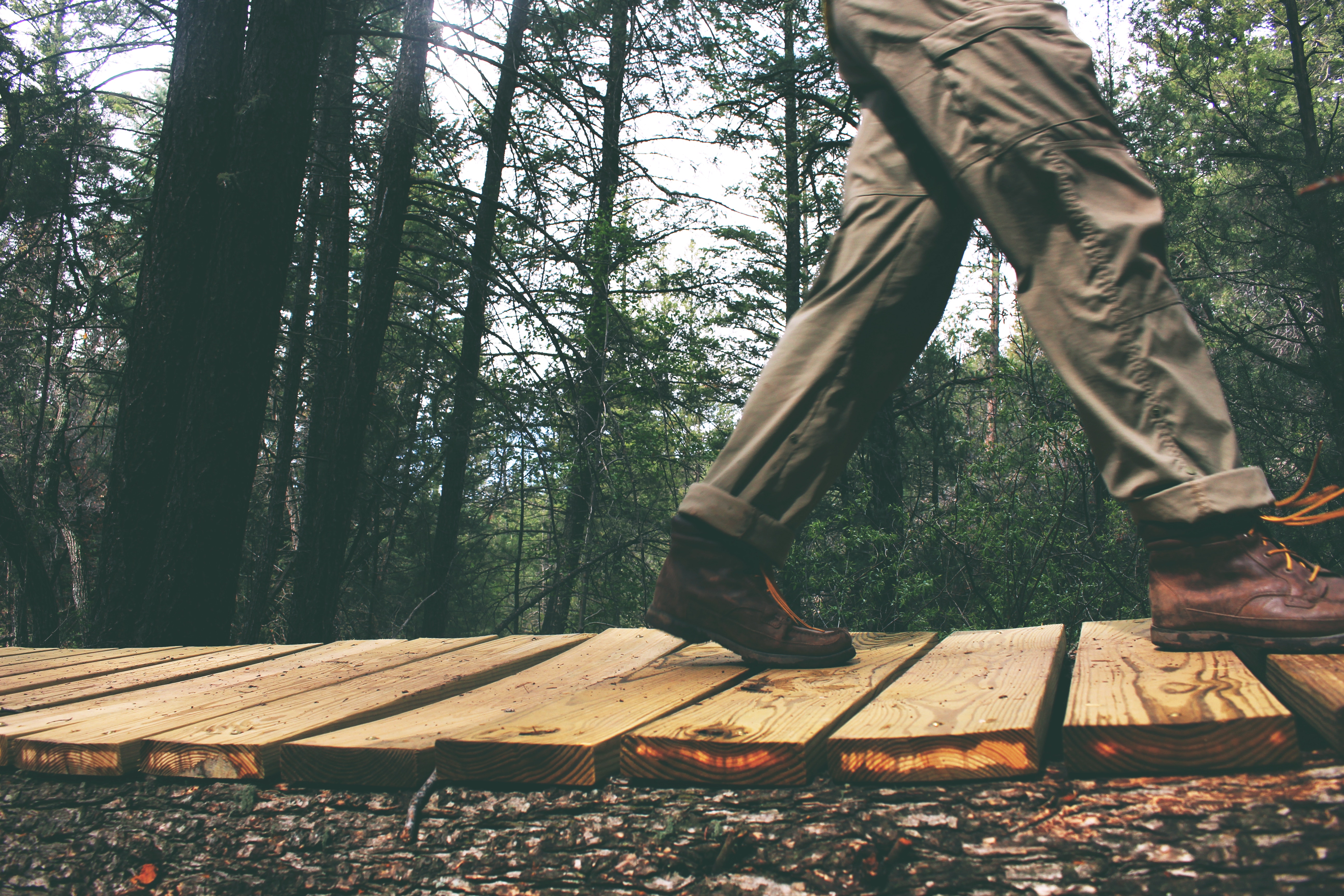 A walk in the woods can improve mental health. Photo by Lacey Raper on Unsplash﻿