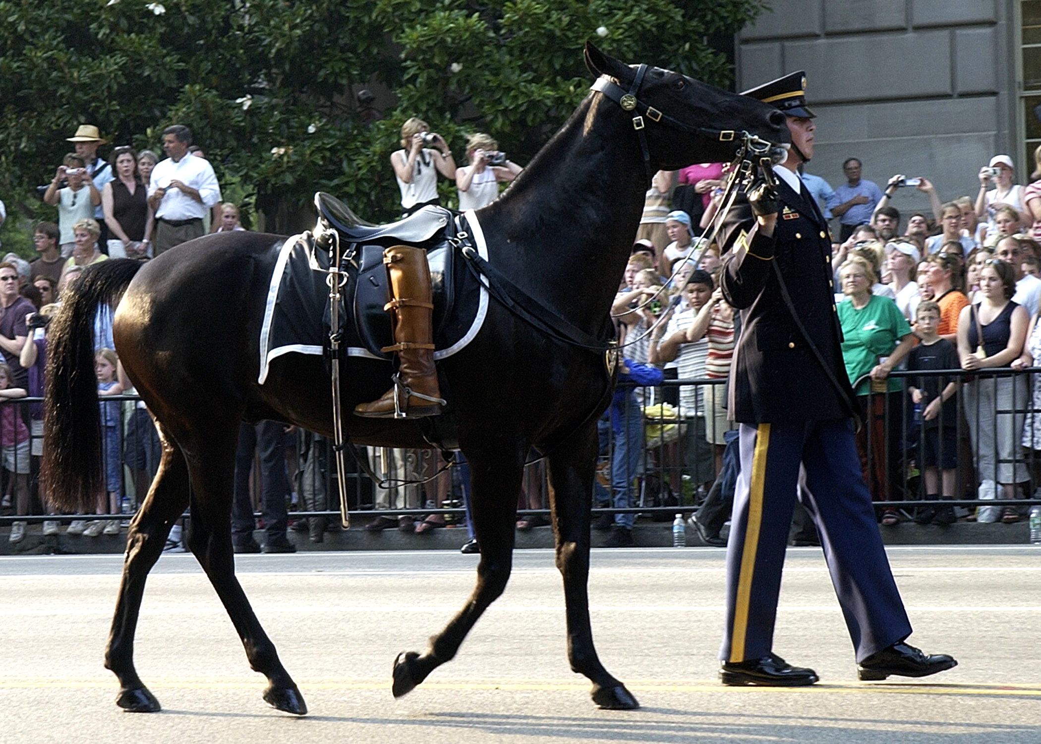 Symbolic of a fallen leader who will never ride again, the Caparisoned horse is led down Constitution Ave., following the Caisson carrying the body of former U.S. President Ronald Reagan during his procession to the Capitol Rotunda.
U.S. Navy photo by Photographer&#039;s Mate 2nd Class Aaron Peterson (RELEASED). 040609-N-5471P-013
Washington, D.C. (Jun. 9, 2004)