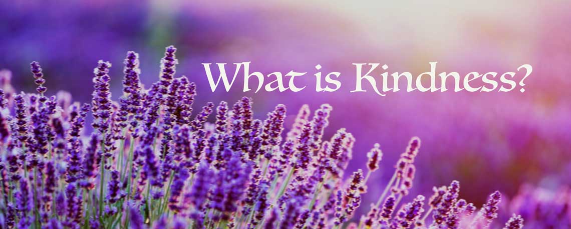 What is Kindness