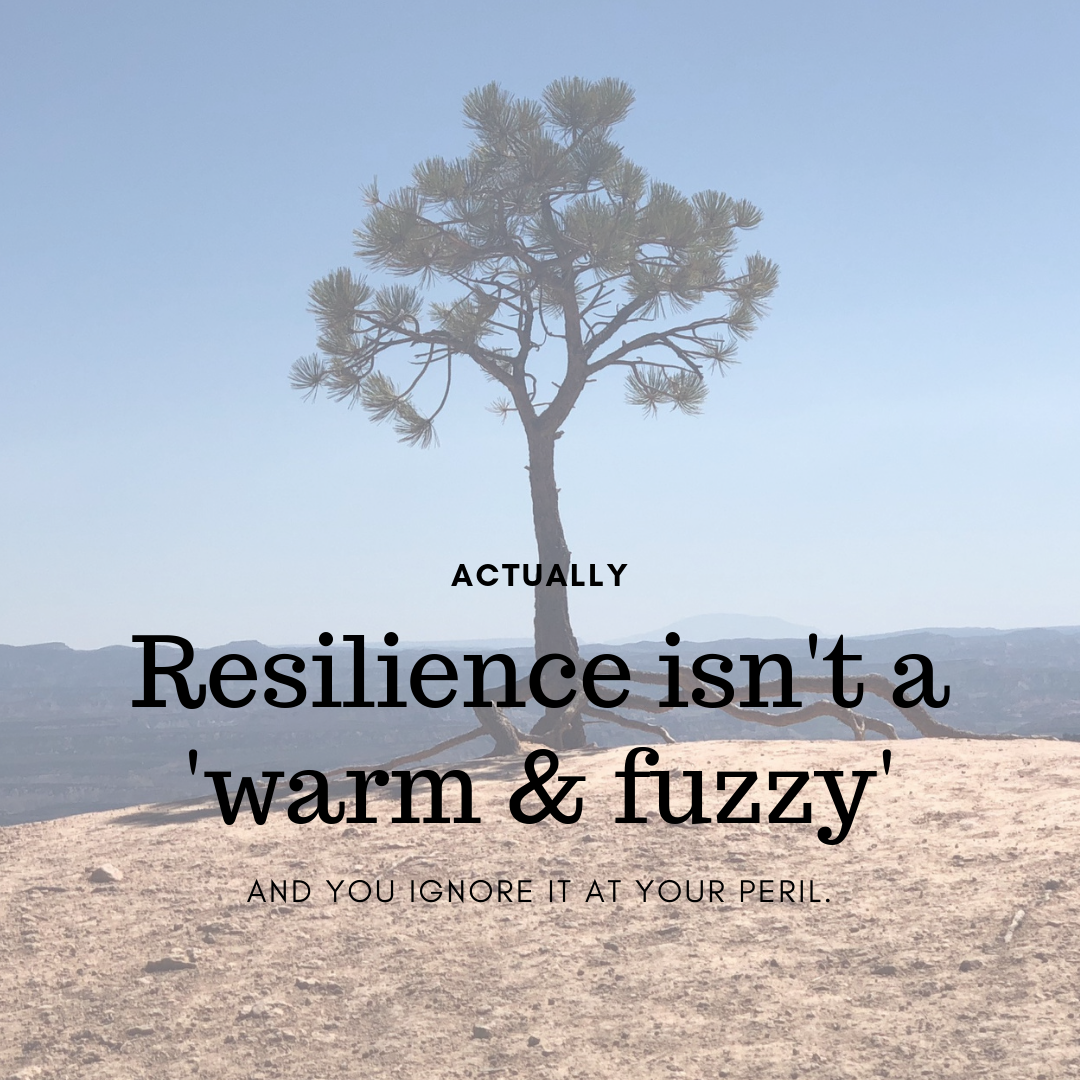 Resilience 2 Keep It Super Simple The Economy of Enough Bronwen Sciortino Mindfulness.jpg