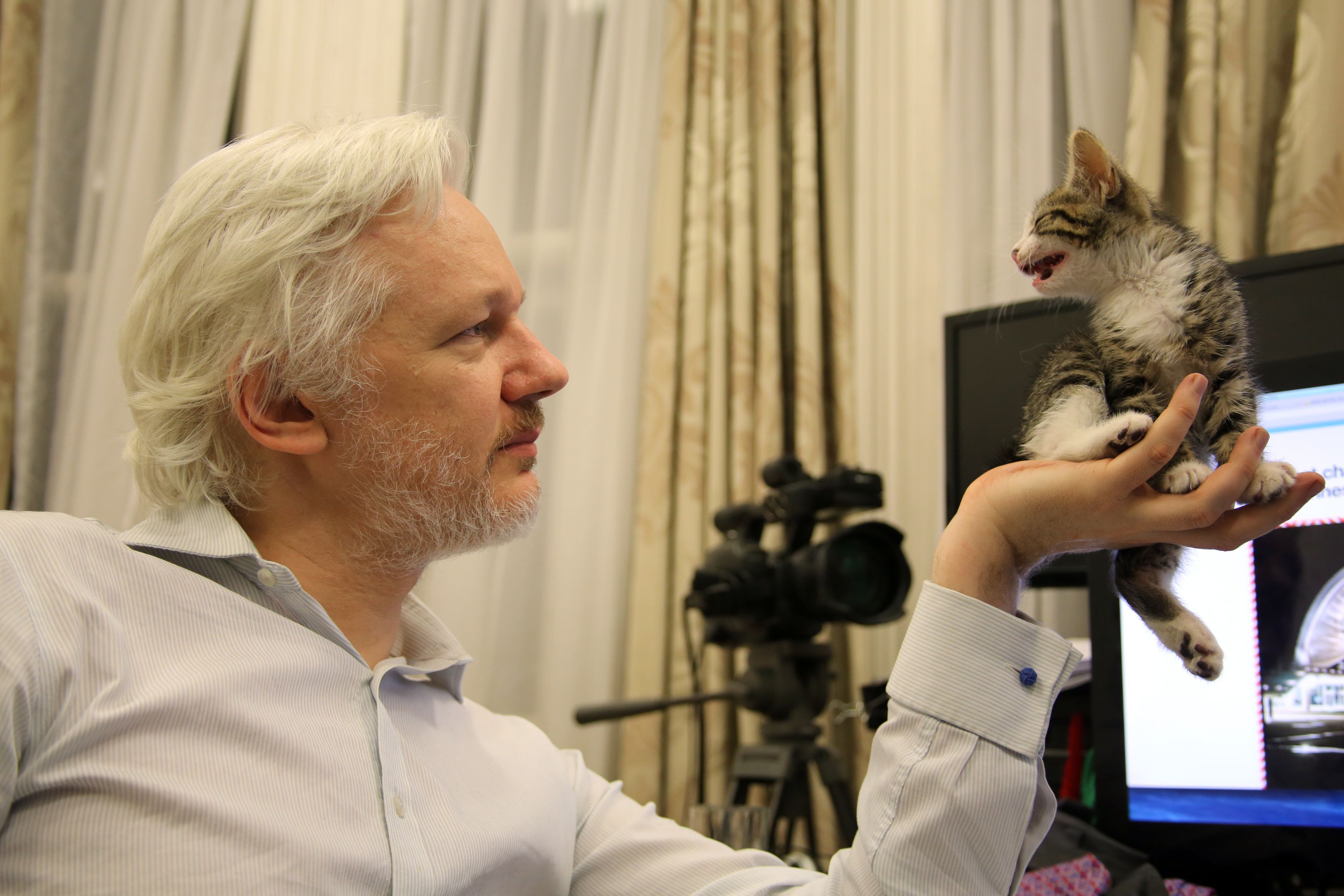 This is an undated handout photo issued by Sunshine Press made available Tuesday May 10, 2016  of WikiLeaks founder Julian Assange with a kitten in Ecuador&#039;s embassy in London . It may not be so lonely for WikiLeaks founder Julian Assange in the embassy quarters he&#039;s called home for nearly four years. Now he has a kitten to keep him company.The kitten had not been named yet. (Sunshine Press/Wikileaks via AP)