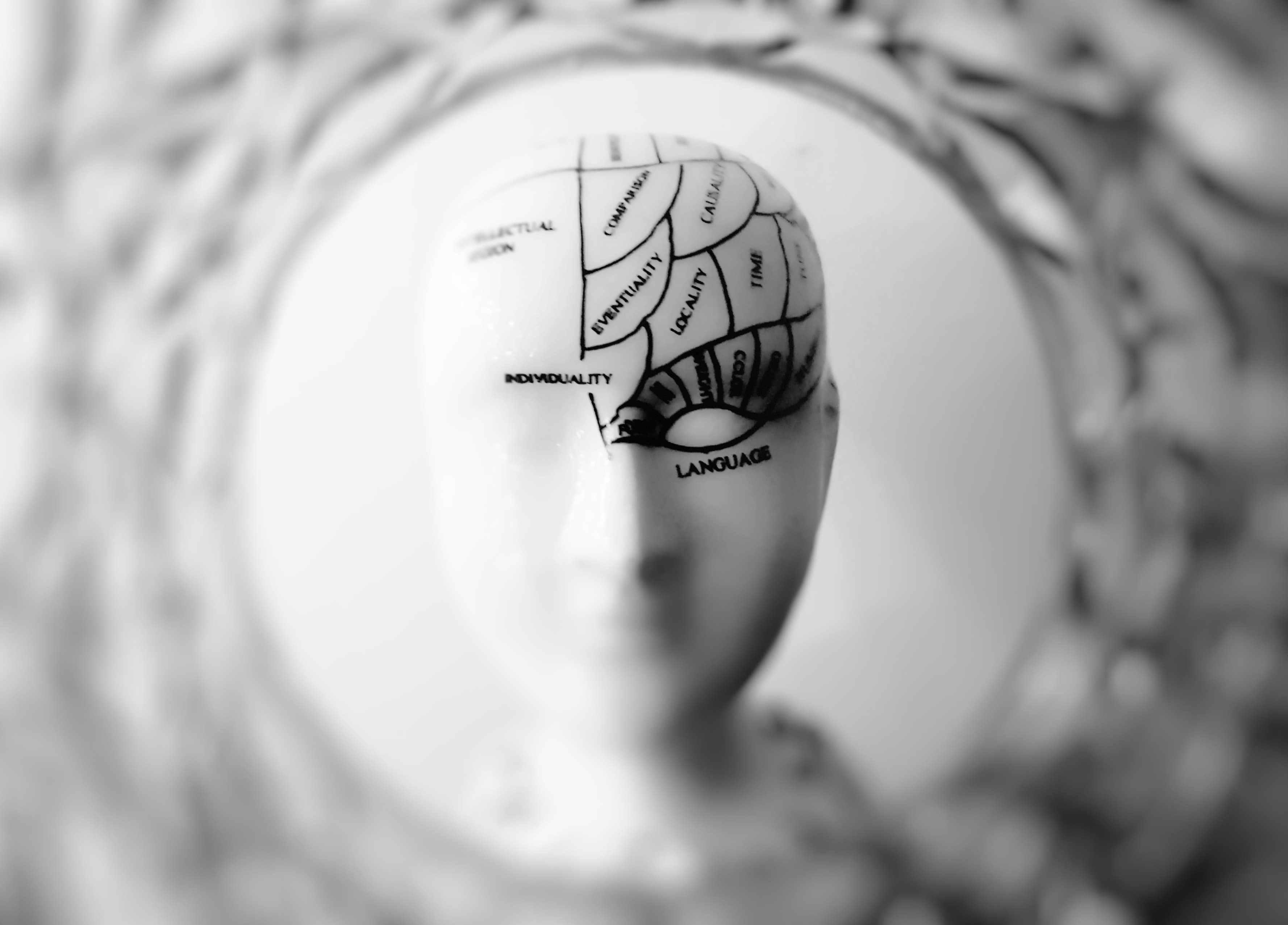 Behavior Management: It’s all about the brain