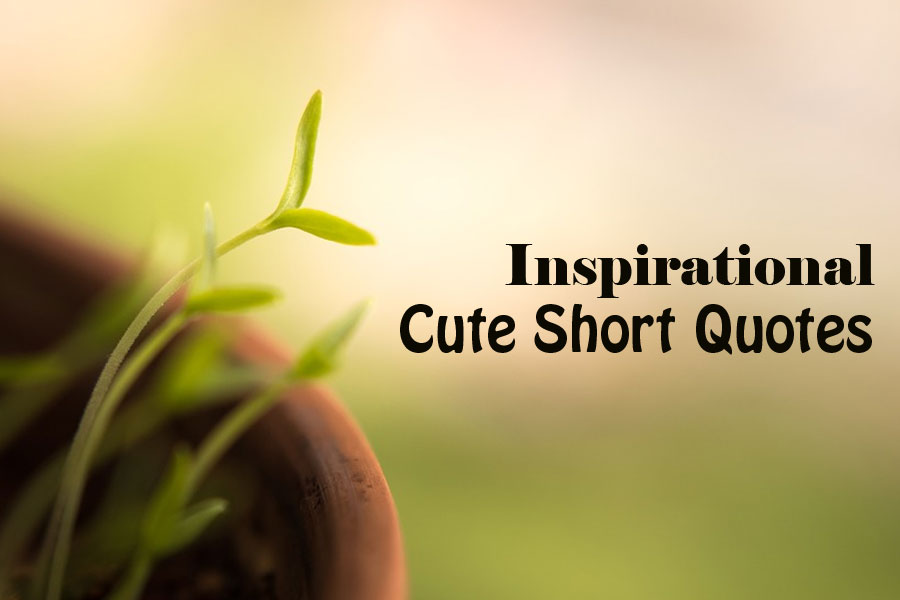 Sweet quotes short 40 Inspirational