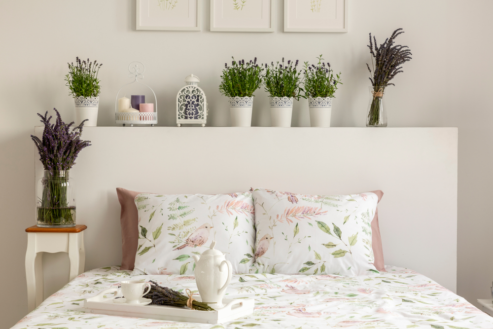 Plants That Improve Sleep Nature In The Bedroom Is A Powerful