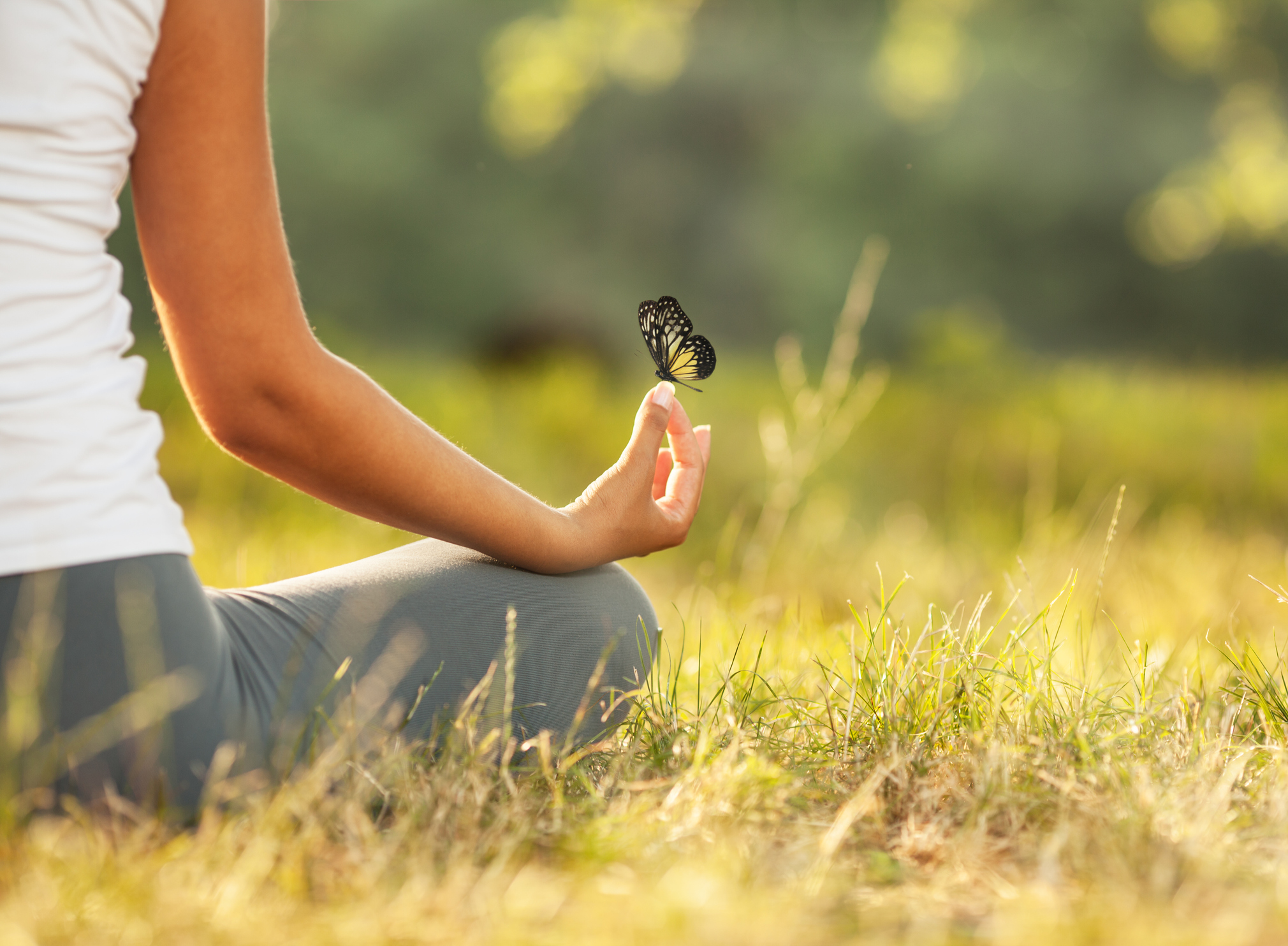 A cropped photo of a woman meditating.  There is a black and yellow swallowtail butterfly perched on the tips of the fingers of her right hand.  She is wearing gray yoga pants and a white shirt.  She is sitting in the grass.  Only the right side of her body is visible.  Her wrist is resting on her knee with the palm of her hand turned up.  The sun is shining.  A blurred image of greenery is visible in the background of the photo.  The grass is standing up, and each blade is of a different height.