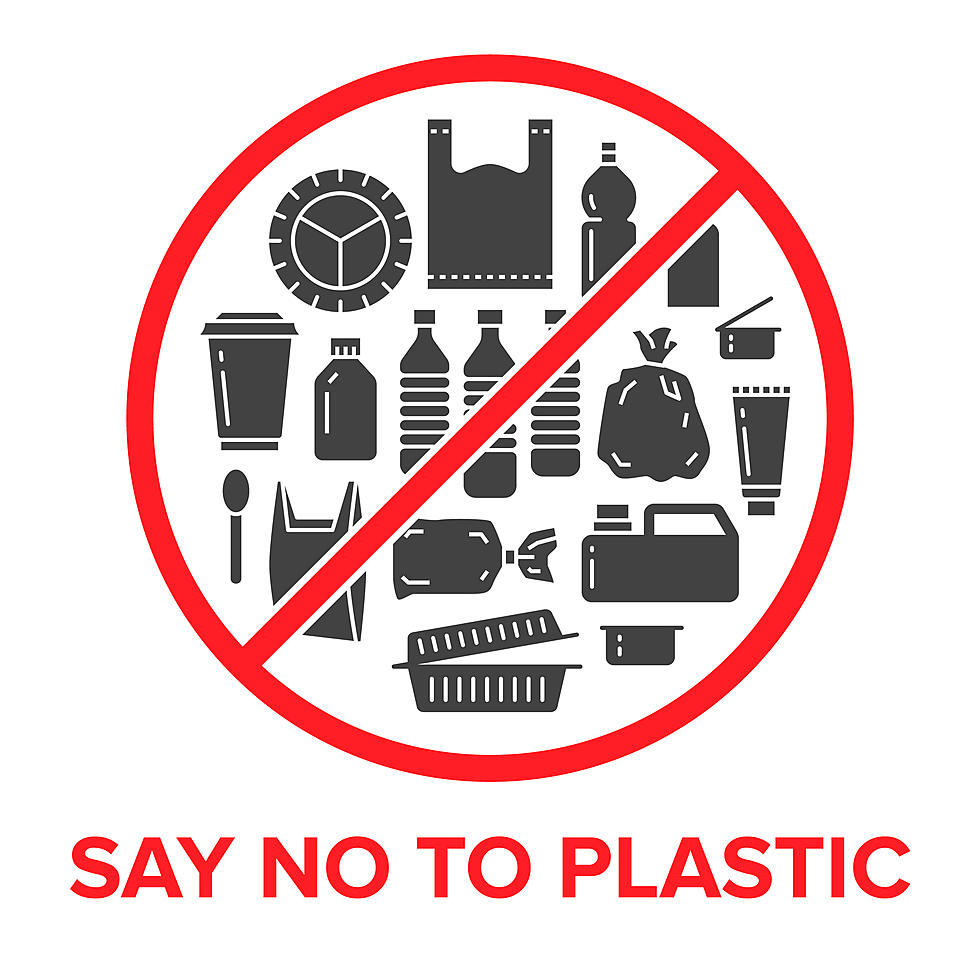 Image result for no to plastics