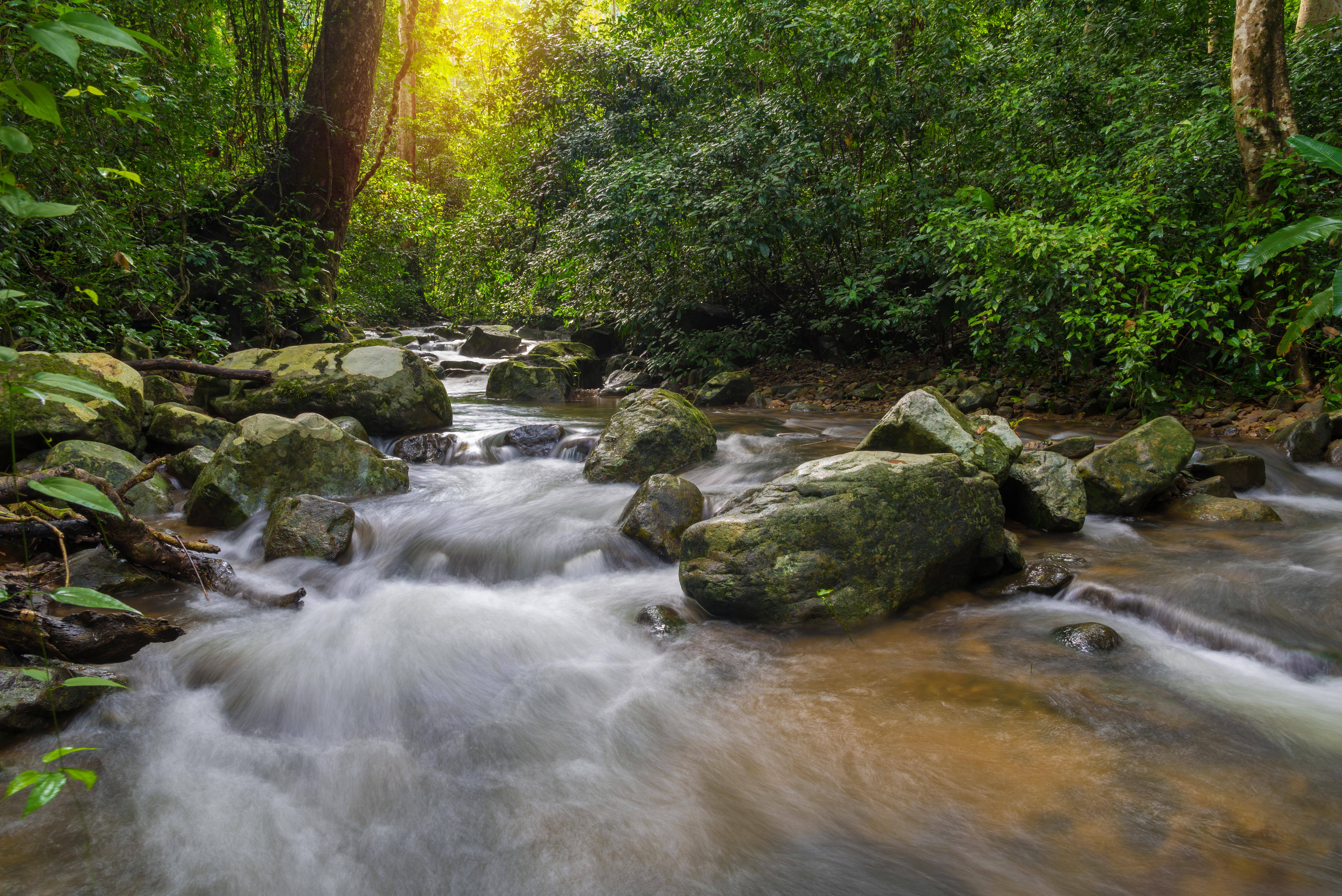 Waterfall in deep rain forest jungle (Krok E Dok Waterfall Saraburi) Thailand.