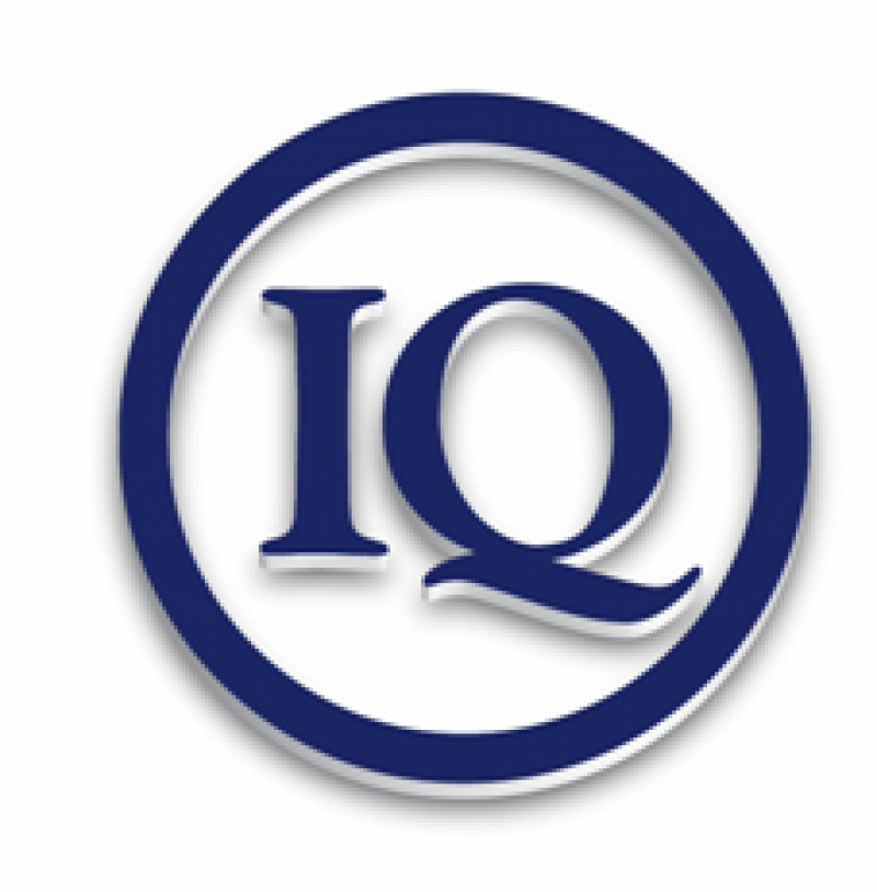 New_IQ_Logo Chris Coffey #LivingFearlessly on Stakeholder Centered Coaching®