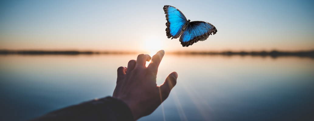 Man reaching out as a blue butterfly flies away