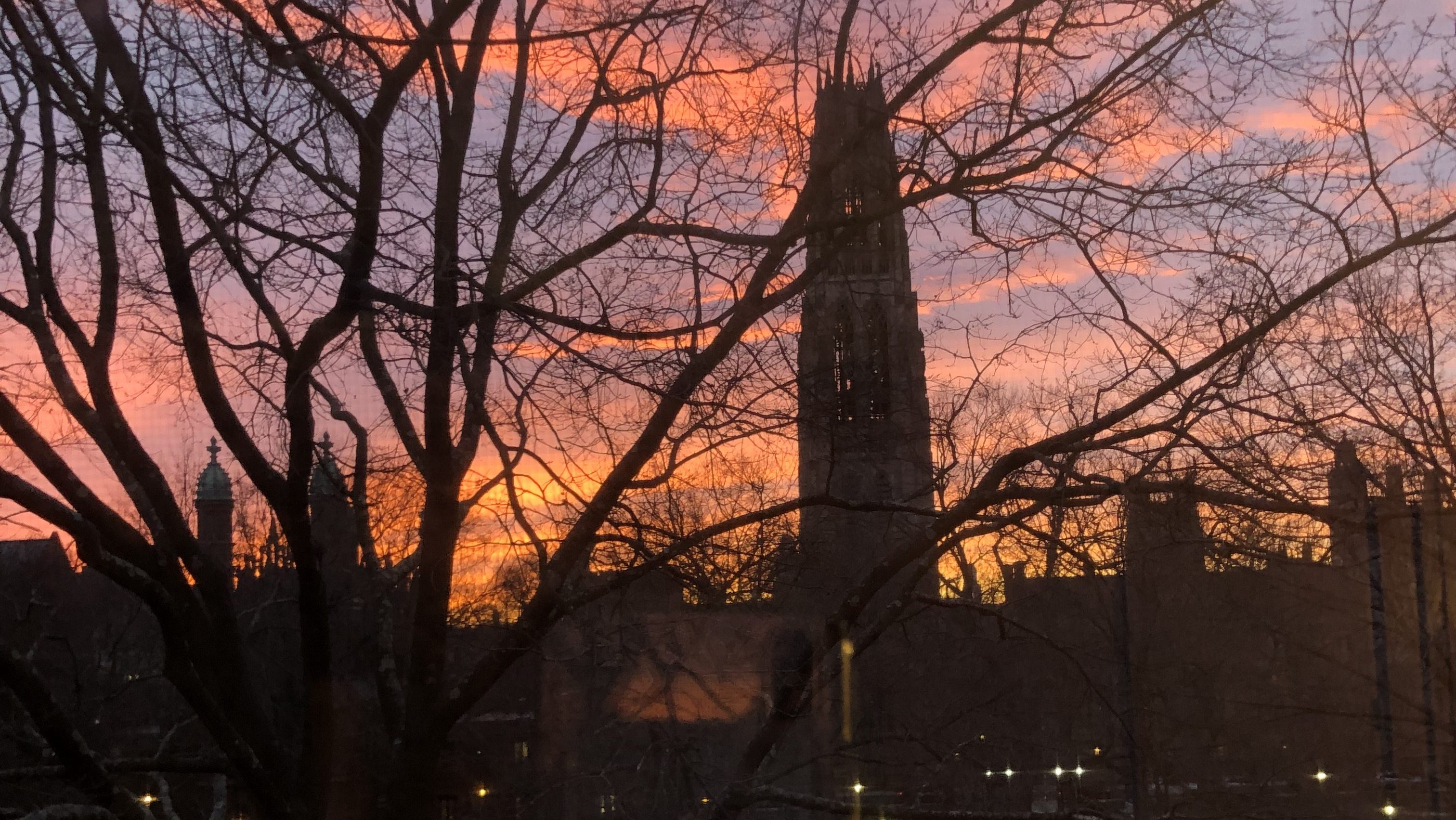 The sun sets on Yale University&#039;s Old Campus. Photo by Katherine Du.