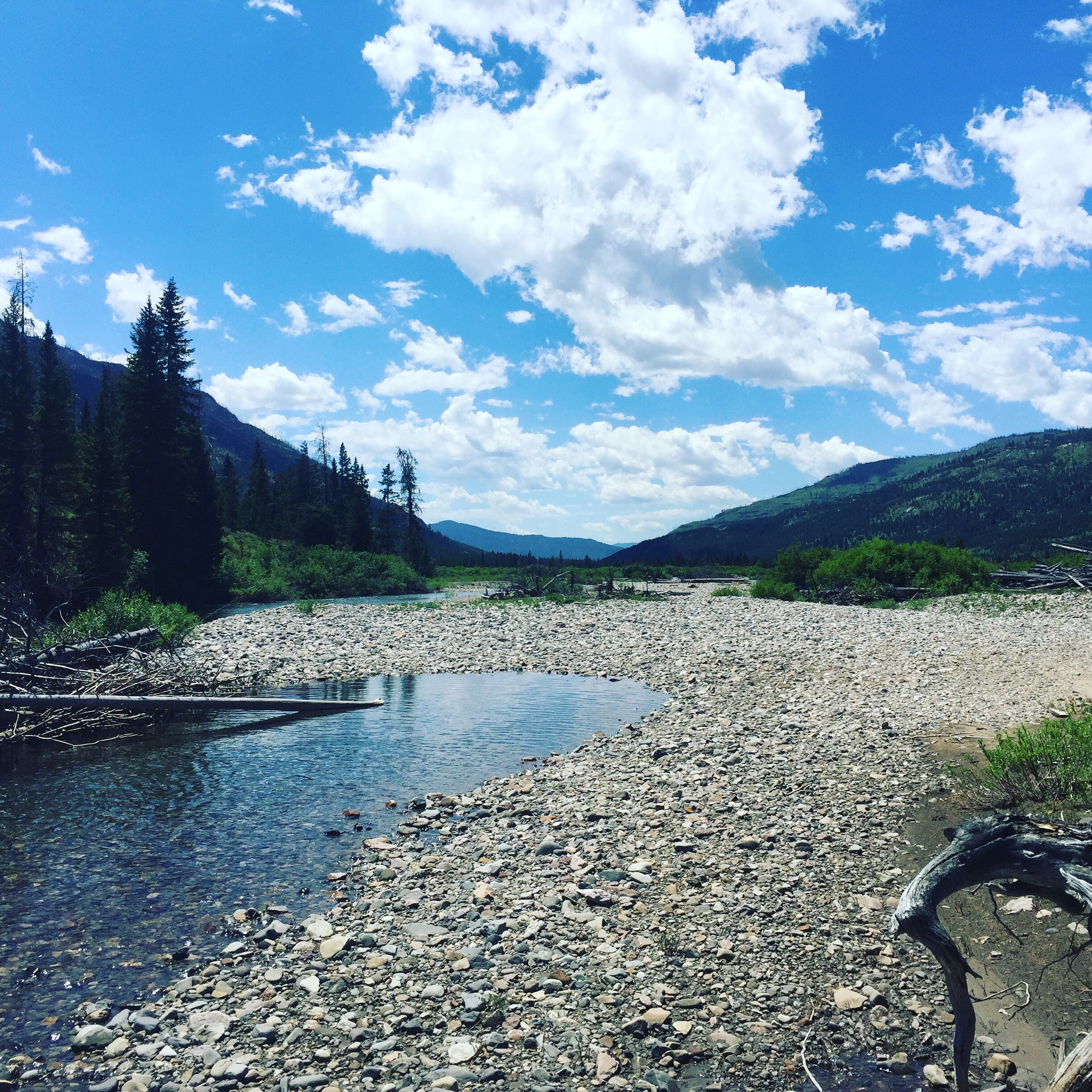 Photo credit: Heather White. Slough Creek  outside of Yellowstone National Park. 