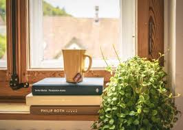 picture looking out window with plant, books, coffee mug