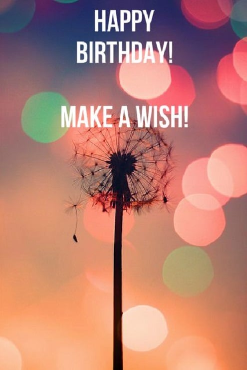 Make a Wish....One...for all! 