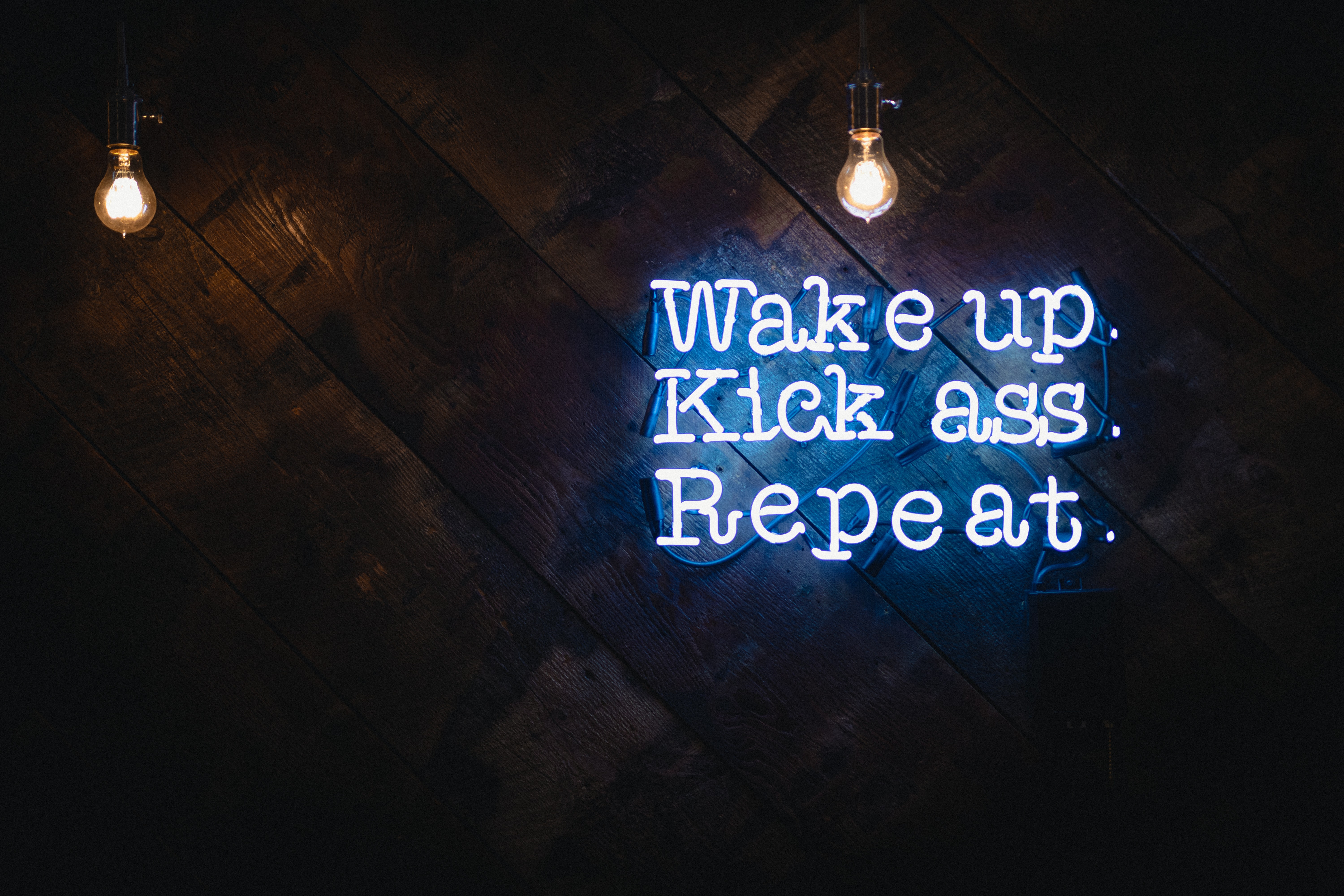wake up, kick ass, repeat