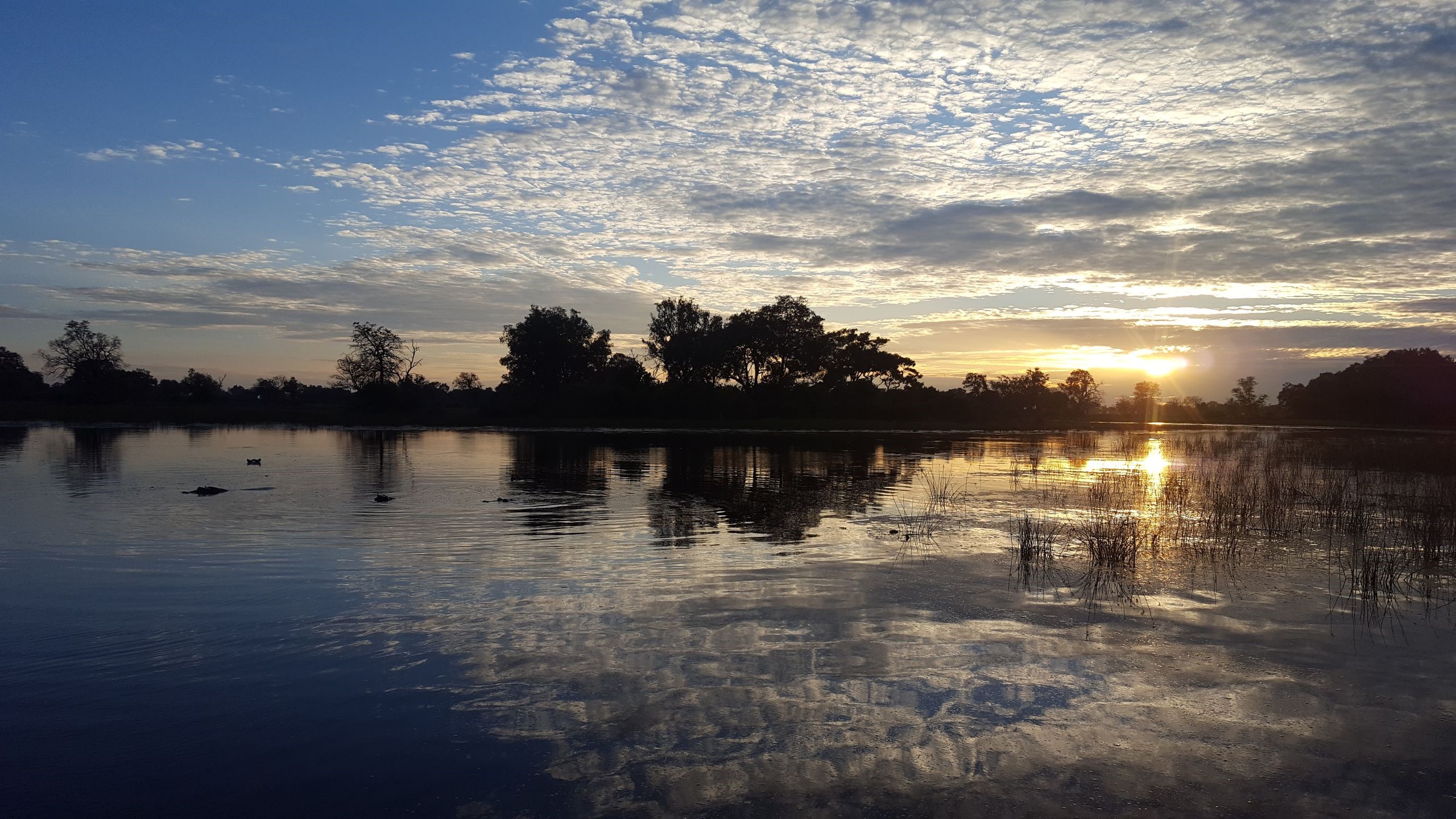 Sunrise on the Okavango Delta, Courtesy of S. Bauer and C. Kennedy