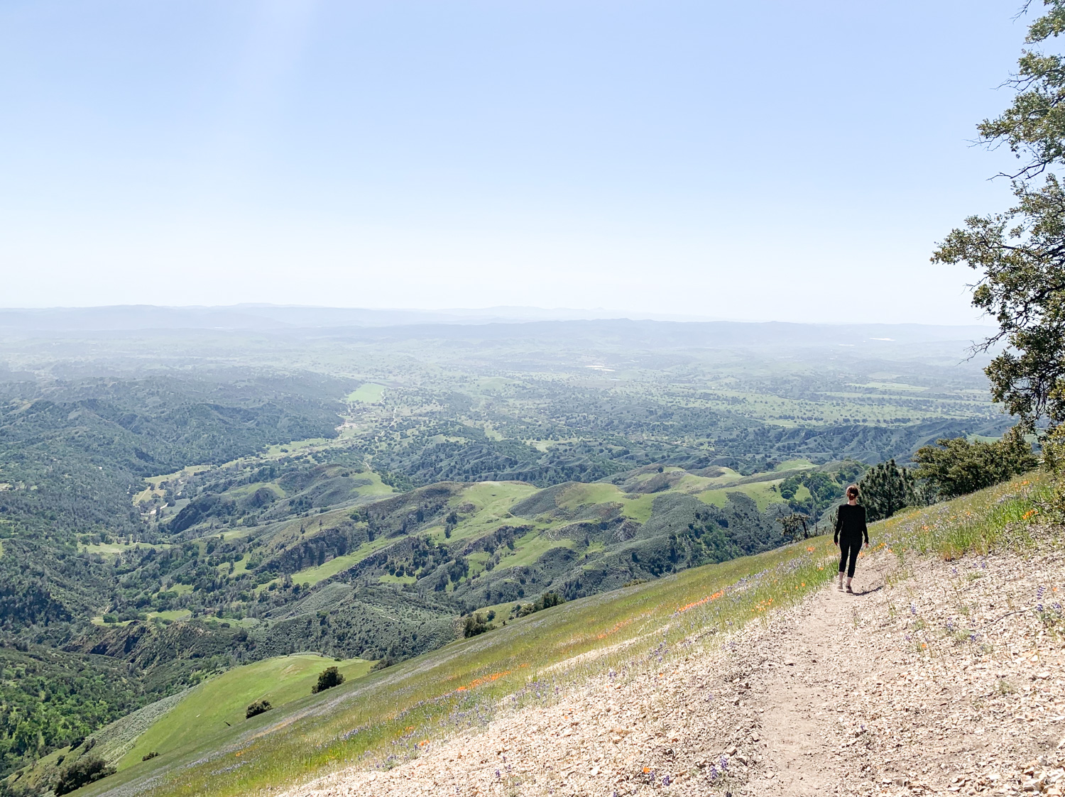 The author on a hike during the Super Bloom on Grass Mountain in Santa Ynez Valley, California. Photo by Brian Gibson.