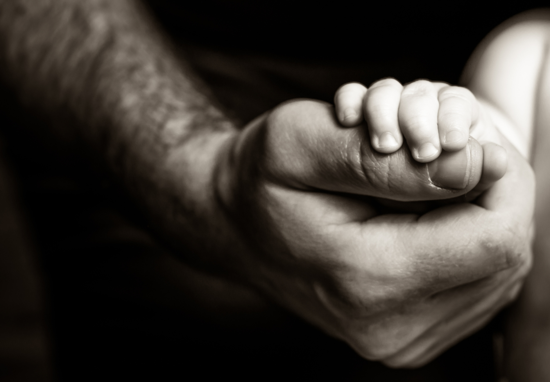 Father holding baby&#039;s hand
