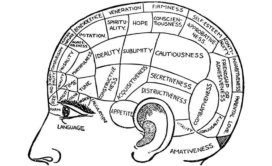 An Illustration of Human Brain Phrenology Chart