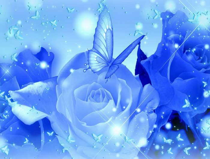 Blue flowers and butterflies.