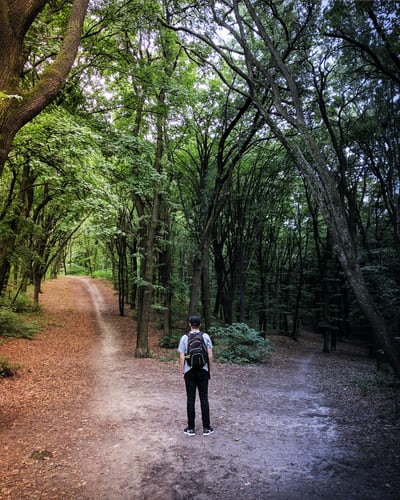 Unsplash: Man standing in the middle of woods