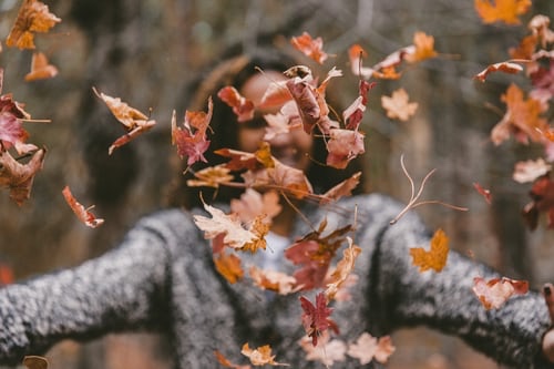 Unsplash: Woman throwing maple leaves