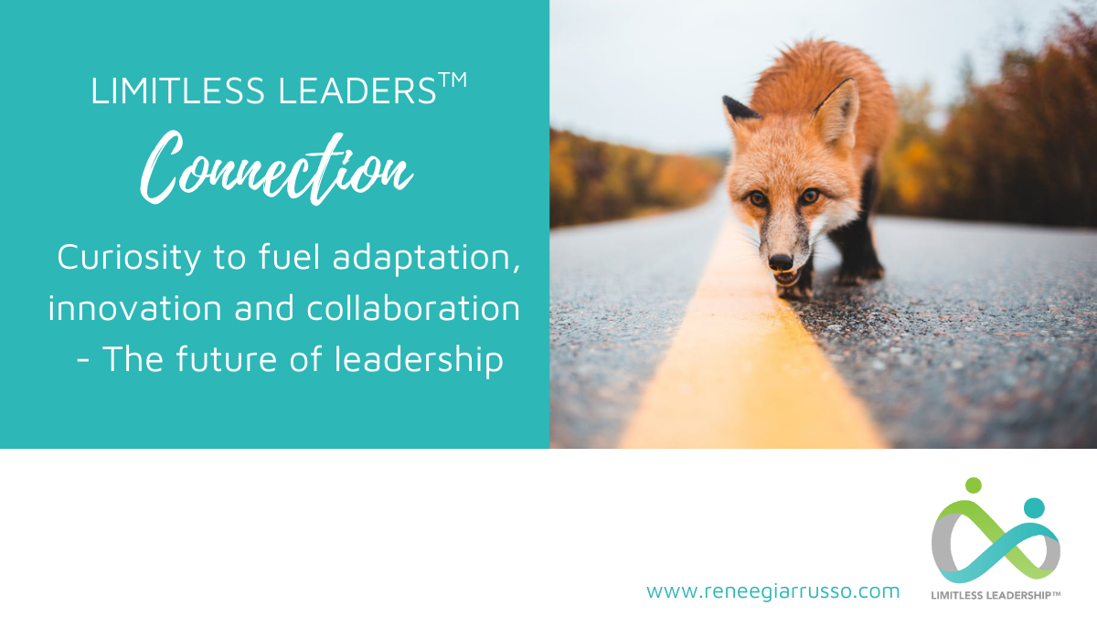 Curiosity Month Connection – Curiosity to fuel adaptation, innovation and collaboration – The future of leadership
