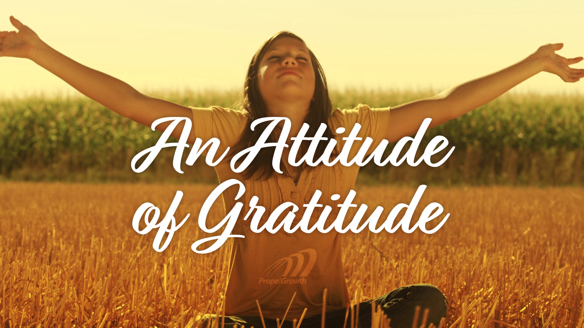 WHAT IS GRATITUDE AND WHY IS IT SO IMPORTANT?