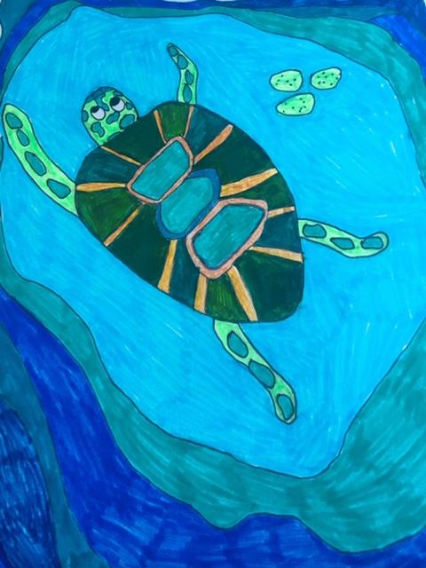 On our 2019 beach trip, my granddaughter drew this sea turtle. 
