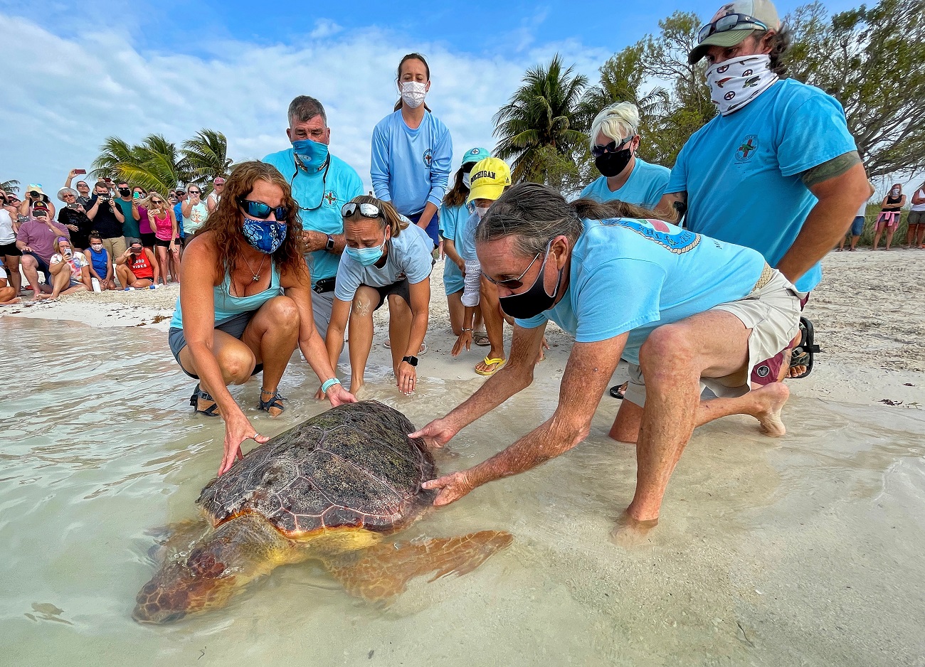 Bette Zirkelbach and Richie Moretti, Florida Keys-based Turtle Hospital&#039;s manager and founder, respectively, release &quot;Sparb&quot;, a sub-adult loggerhead sea turtle, at Sombrero Beach in Marathon, Florida, U.S., April 22, 2021. Andy Newman/Florida Keys News Bureau/Handout via REUTERS