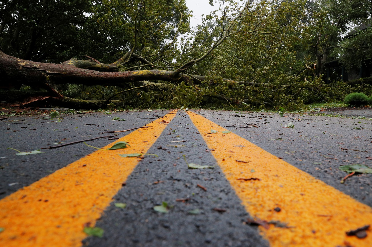 A fallen tree blocks a street as Tropical Storm Henri makes landfall in Newport, Rhode Island, U.S., August 22, 2021.   REUTERS/Brian Snyder
