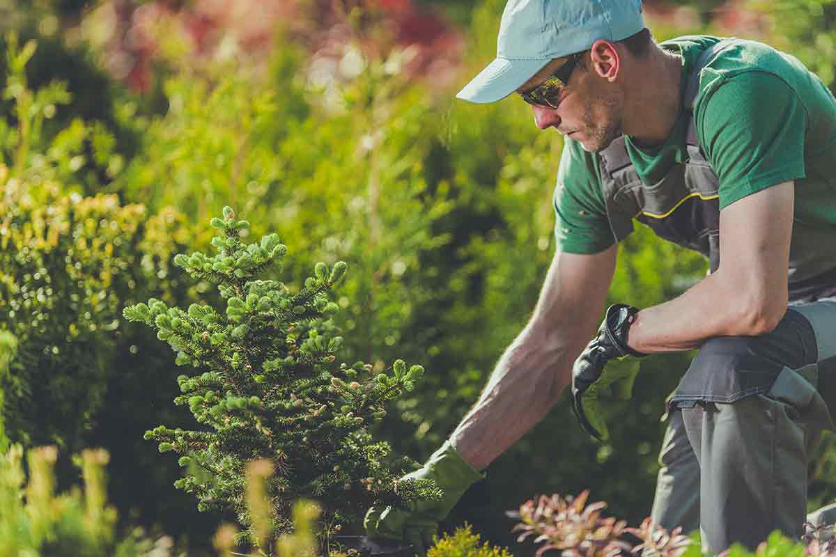 Landscape Contractors: How to Know Before You Choose One?